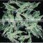 Luya Fresh Water Lures 3cm Article 50 Small Noctilucence Grass Shrimp