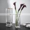 Hot Sale Home Decor Crystal Vase Rectangular Glass with Phnom Penh Tall Glass Modern in Bulk Tabletop Vase All-season