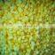 Sinocharm BRC A Approved New Season Sweet 10x10mm Mango Cubes IQF Frozen Diced Mango