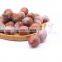 Frozen Fruit Unpeeled Lychee IQF Lichee from China