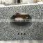 Cheap G439 Graite Countertop