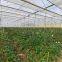 135 gsm   95% shade rating of sliver color of aluminum sun shade mesh