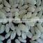 Artificial Instant Rice Food Machine/Artificial Rice Extruder Machine/Rice Production Line