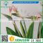 greenflower 2016 Real Touch PU Latex artificial flowers Strelitzia reginae for gift weddings decorations