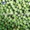 bulk frozen green pea