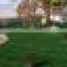 Natural carpet grass for garden