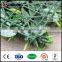cheap plastic outdoor artificial plastic single roses flowers