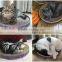 2016 hot selling cat mat