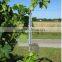 Factory Supply Design Vineyard Post
