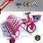 Large Capacity Riding Mini Rice Transplanter for Sale
