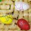 Magic Growing Eggs Customized Animals Water Dinosaur Egg