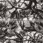 Best Quality Water Transfer Printing Film No.RYC002 Hydro Dipping Film &Hydrographic Film