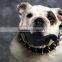 Pet Chew Funny Teeth Toy Rubber Dog Toy Teeth Plastic Mustache Toys for Dog Playing Toys