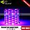 purple led strip light