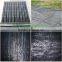 Blck Green Agriculture use pp ground cover exported to Chile