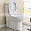 Sanitary Ware Washdown S-trap 250mm Saso Toilet Bowl One Piece wc Toilet