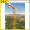 Overaseas Service New Condition Topless Tower Crane