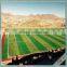 Guangzhou Factory Selling Emerald Green Synthetic Fake Lawn Grass For Soccer Field