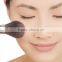 6Pcs Makeup Set Makeup Brush Eyelash Curler Powder Puff Nail Clippers Eyebrow Brush Makeup Suits Random Color Dilivery