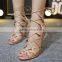 High Heel Shoes Oullis Shoes Made in China 2016 PE4347