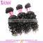 Loose Curly Hair Extension For Black Women 7a Grade 100% Virgin Malaysian Loose Curly Human Hair Extension