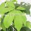cheap artificial fortune pant trees plastic trunk indoor