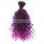 Whole Sale Two Tone Ombre Synthetic Braiding Hair