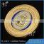 Factory price plastic gold coins dealers panda coin large supply