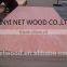 4X8ft rotary cut okoume / bintangor plywood