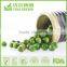 Salted Green Peas, canned peas with BRC, HALAL,FDA