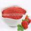 Freeze Dried Strawberry Powder - Emergency Survival Dried Food