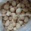 Frozen mushroom champignon whole/sliced