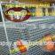 chain link temporary fence panels sale(Hot galvanized popular in Australia)