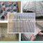 Flexible stainless steel cable mesh for construction decoration( factory With ISO9001)