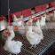 chicken house equipment egg collecting system