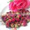 Flower Buds Tea Rose Pink Rose Flower Tea