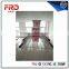 Competitive price automatic chicken layer cage for sale in south africa