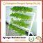 Eco-friendly Healthy Life Balcony moisture retain growing sponge