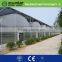 clear plastic film for greenhouse