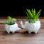 Indoor decor ceramic flower pots small white animal bonsai