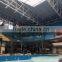 Royal coconut palm tree for indoor amusement park decoration