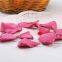 Fruit radish chips/Fruit radish chips OEM