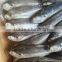 Jack mackerel fish china wholesale