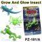 Magic Grow and Glow Insect Toys