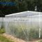 agricultural vegetables greenhouse used mesh net / transparent white hdpe plastic anti-insect nets fabric
