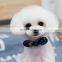 Noble Princess Wind Pet Bow Tie Texture Pet Collar With Bell