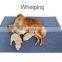 Tex-cel 4 Layer s Waterproof Pee Pads for Dogs