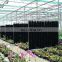 vertical greenhouse felt grow bag for vegetable