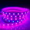 Factory Outlet SMD 5050 Colorful Decoration  IP65 67 LED Light Strip