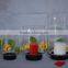 Urn shape clear glass candle holders